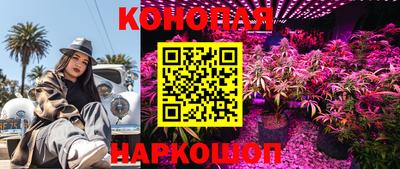 молекула духа Коммунар